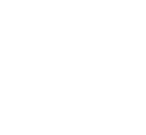 logo-fintrain-w
