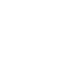 logo-fintrain-w